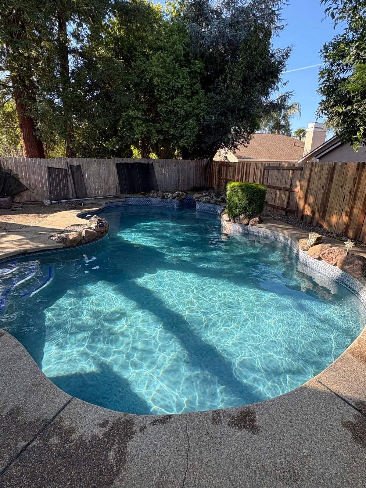 Crystal clear backyard swimming pool in Roseville after weekly pool service